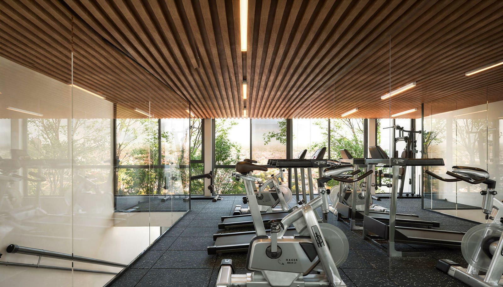 Gimnasio de Oxygen Mérida